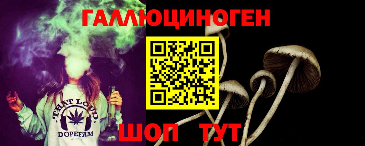 Псилоцибиновые грибы Psilocybe Новоуральск